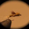 BWO 2 Emerger